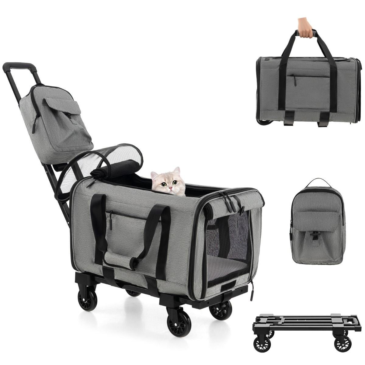 Large Rolling Cat Dog Carrier for Small and Medium Sized Pets